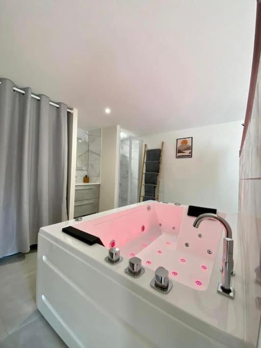 Loft Jardin Et Spa Bressuire Buitenkant foto